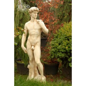David
